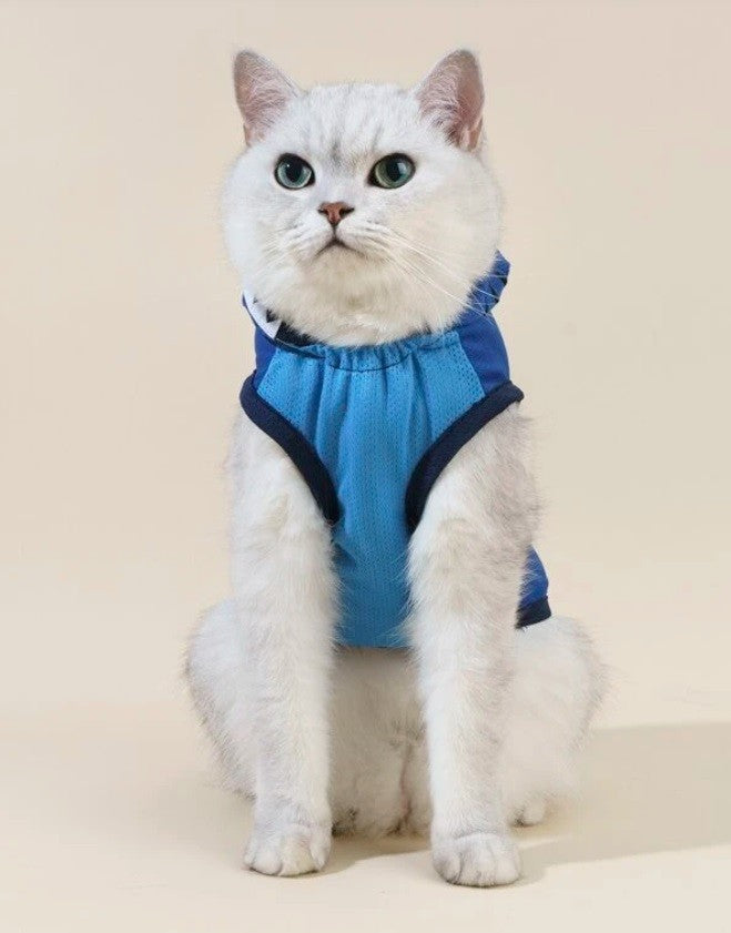 Baby Shark Costume Nala Bear Cat Store