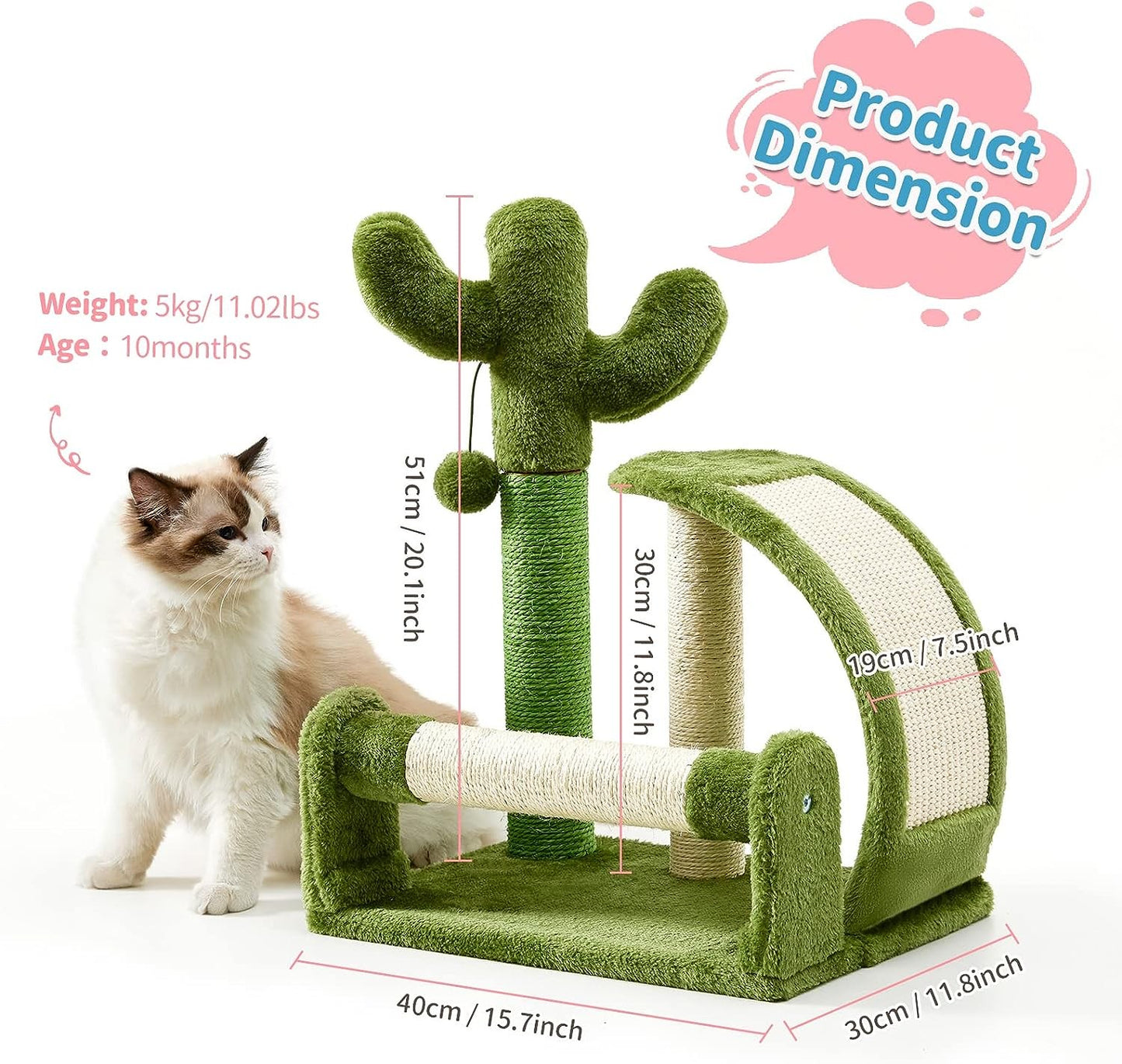 Cactus Activity Tree and Scratcher