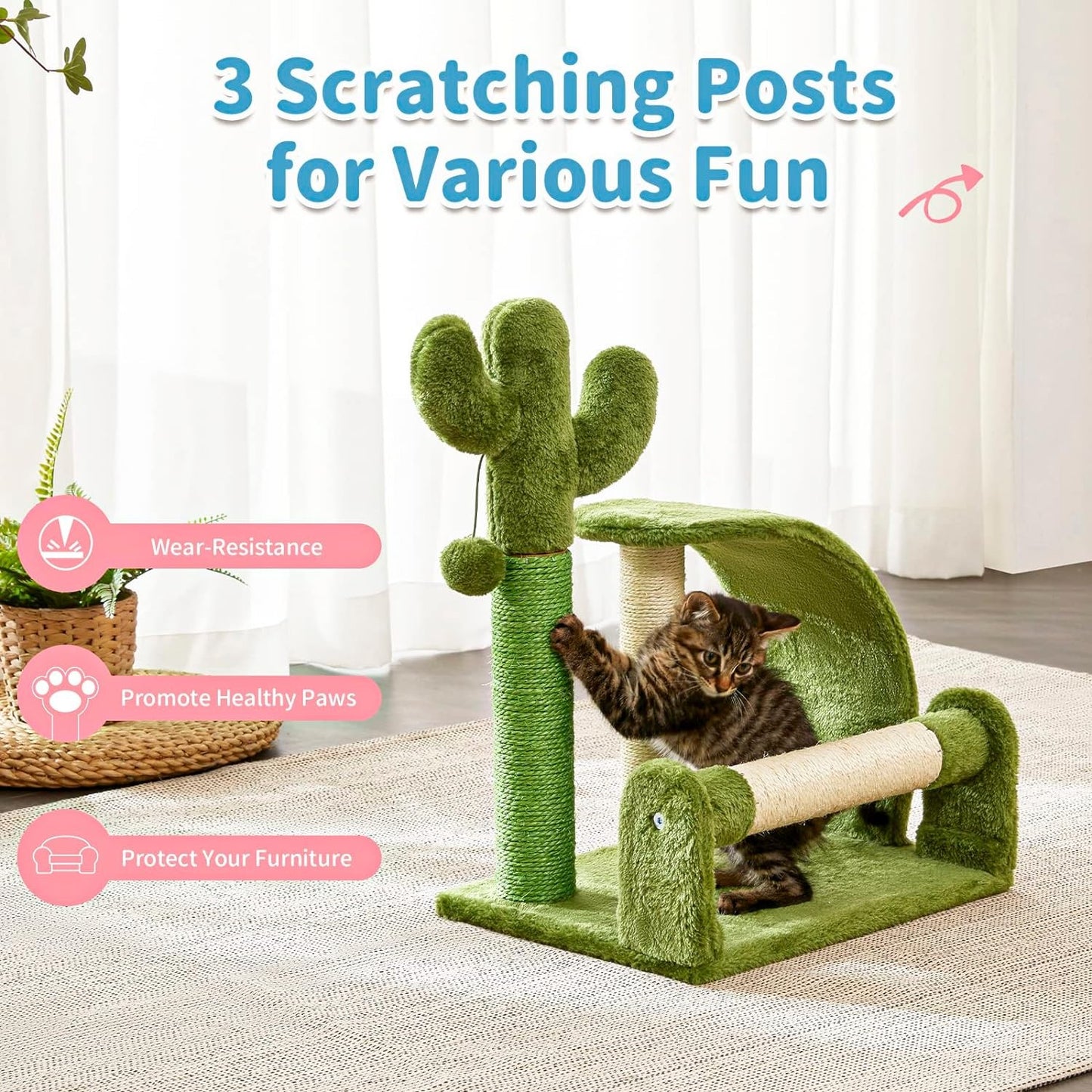 Cactus Activity Tree and Scratcher