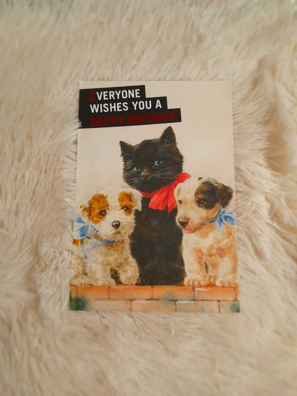 'Everyone wishes you a Happy Birthday' Card