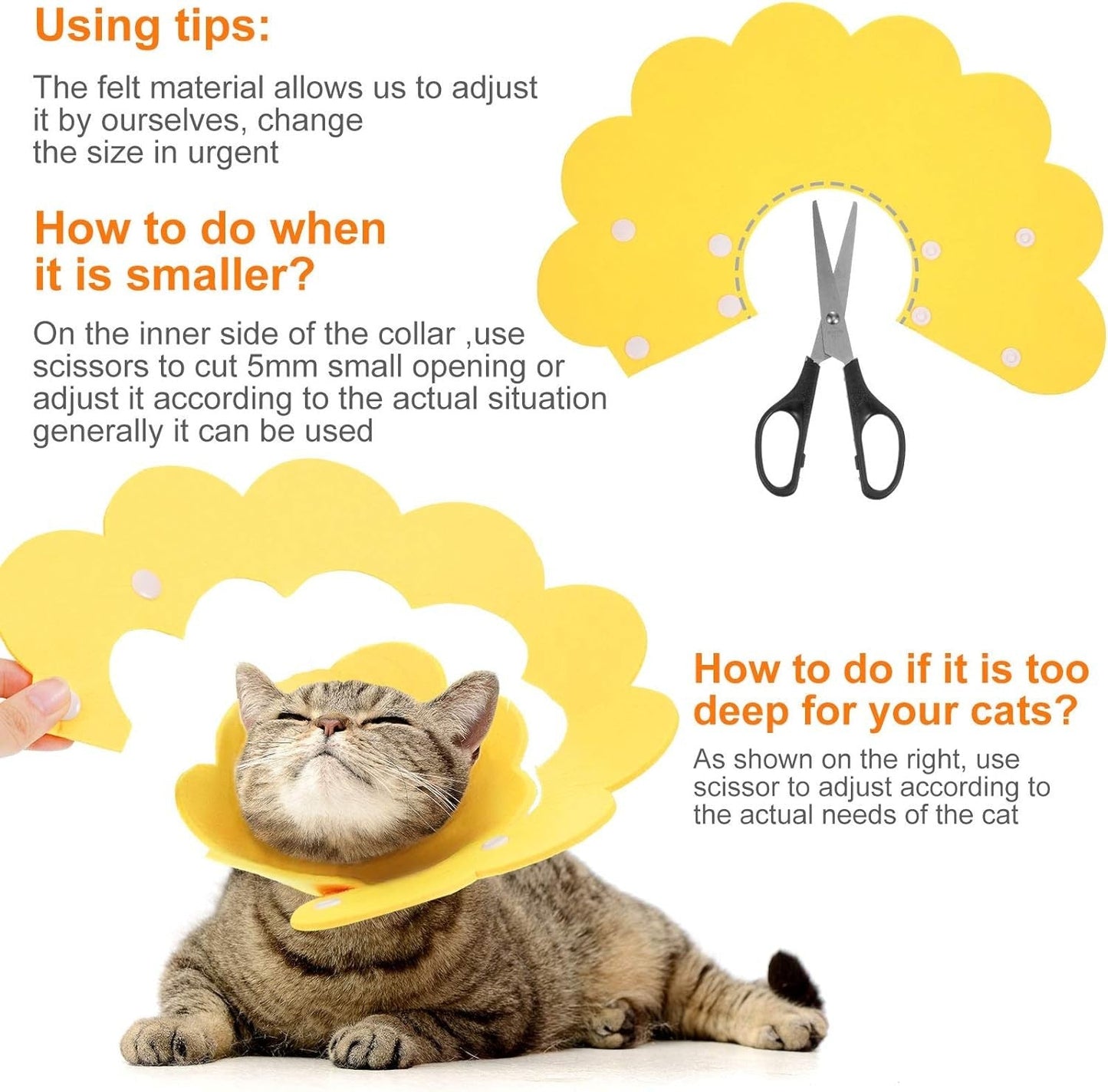 Felt Recovery Cone Collar - Extra Small