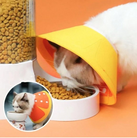 Felt Recovery Cone Elizabethan Collar - Orange Slice - Medium