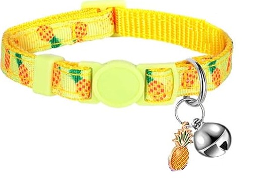 Fruit collar - Pineapple Pattern & Pendant