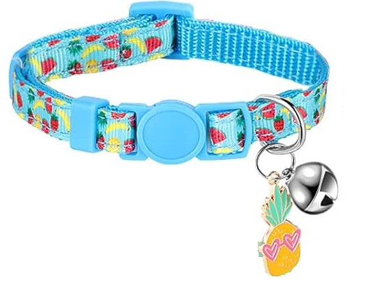 Fruit collar - Multi Fruit Pattern & Pineapple Pendant