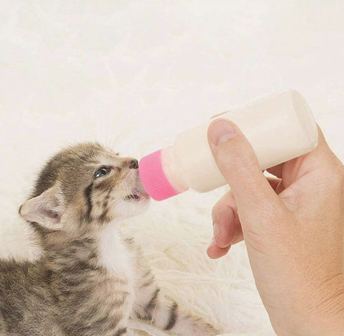 Kitten Nursing Bottle with Nipple - 100cc
