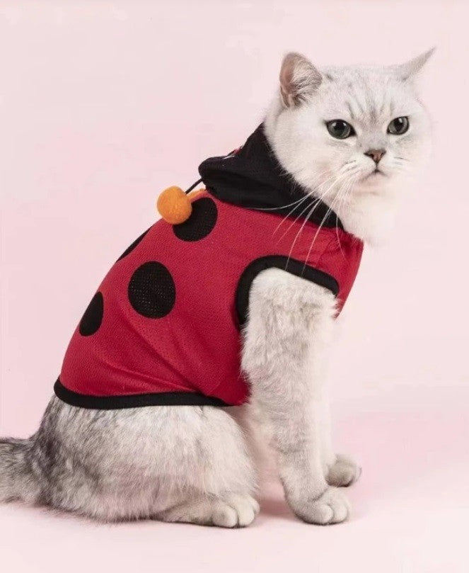 Ladybug Costume - Medium