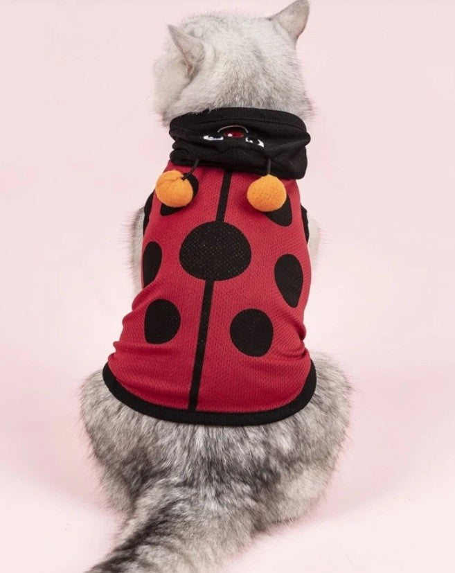 Ladybug Costume - Medium