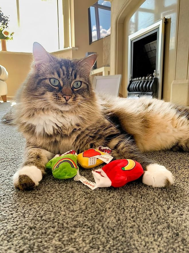 Yeowww! Catnip Kitten Mittens