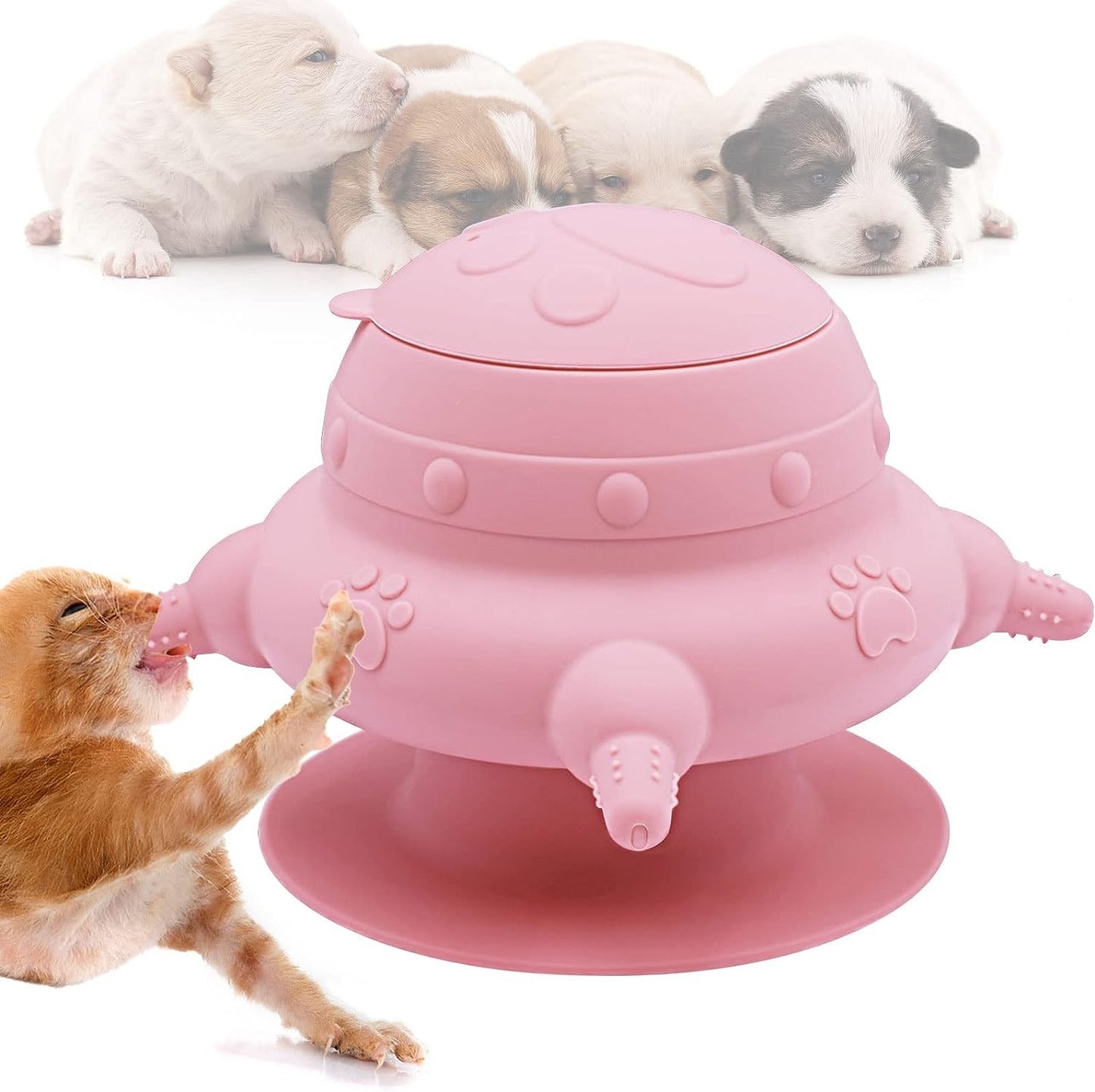 Multi Kitten Feeder / Milk Dispenser