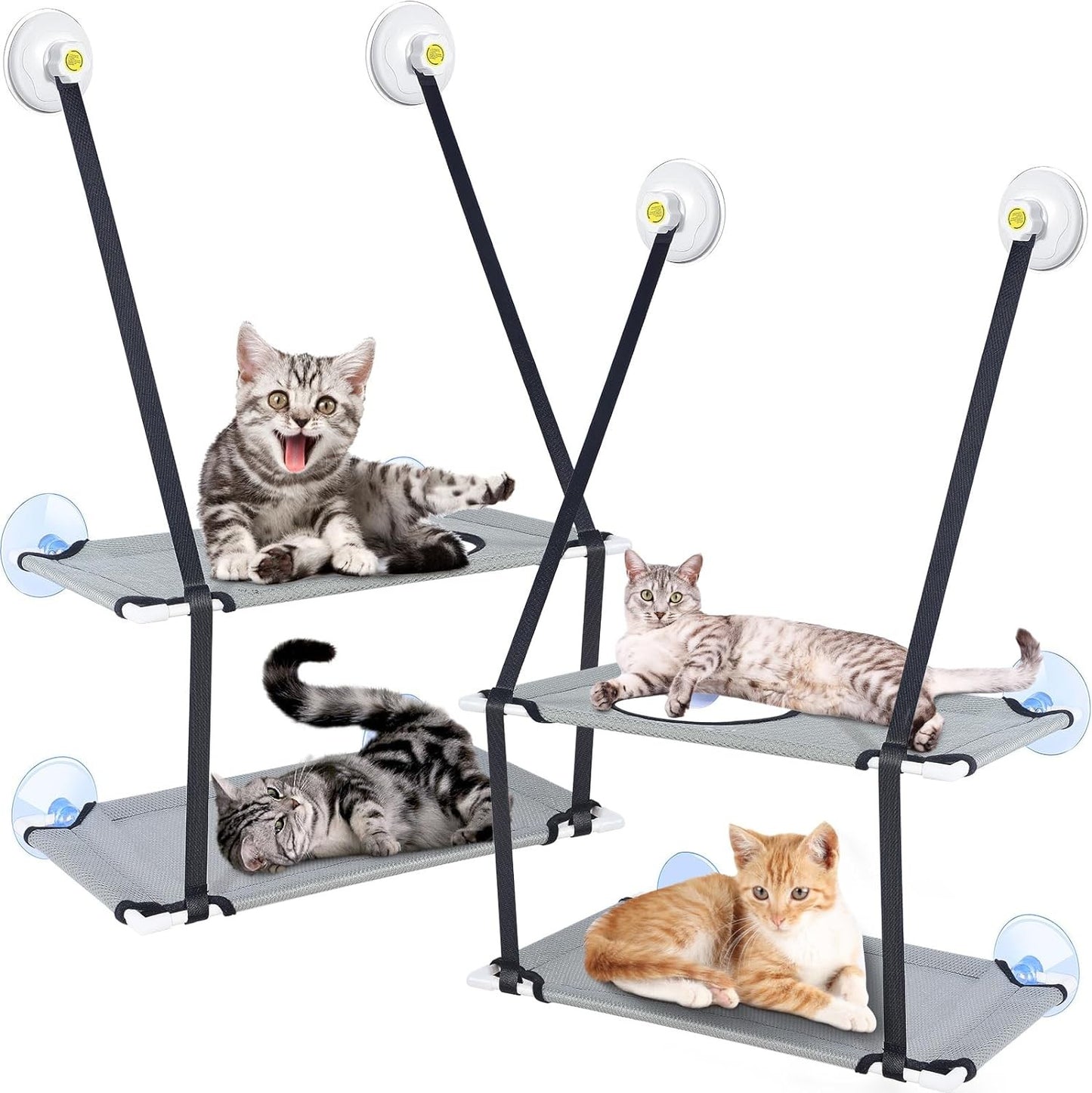 Cat Window Perch Double Layer