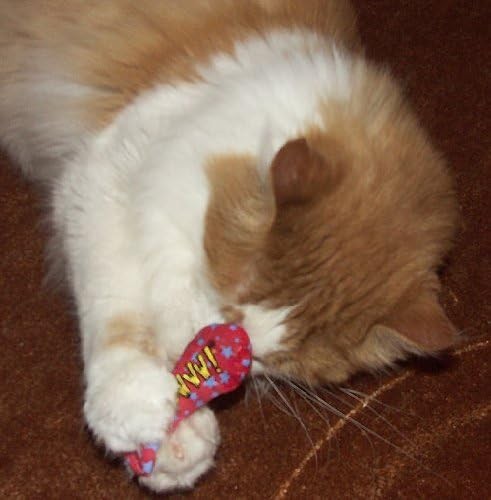 Yeowww! Catnip Stinkies Sardines