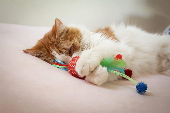 Mesh Feather Ball Cat Toy