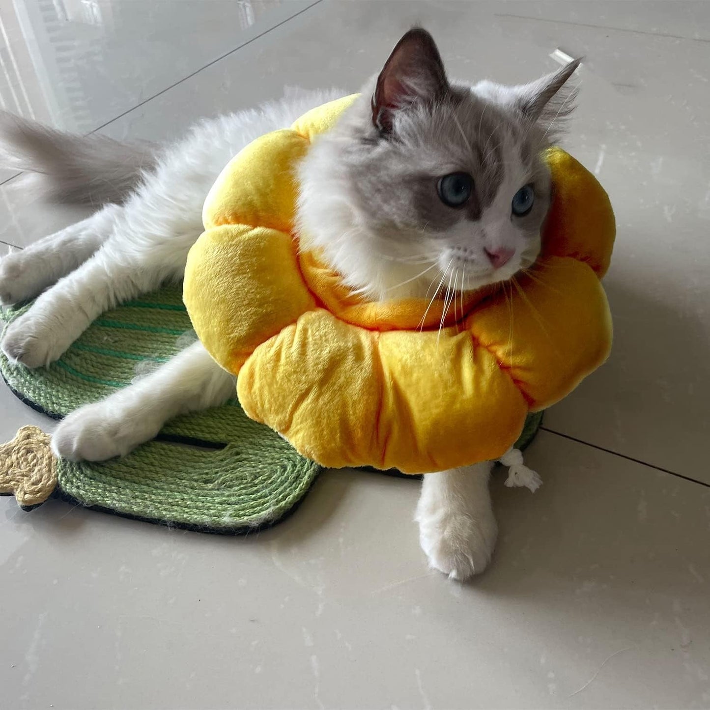 Yellow Flower Recovery Cone Elizabethan Collar - Small