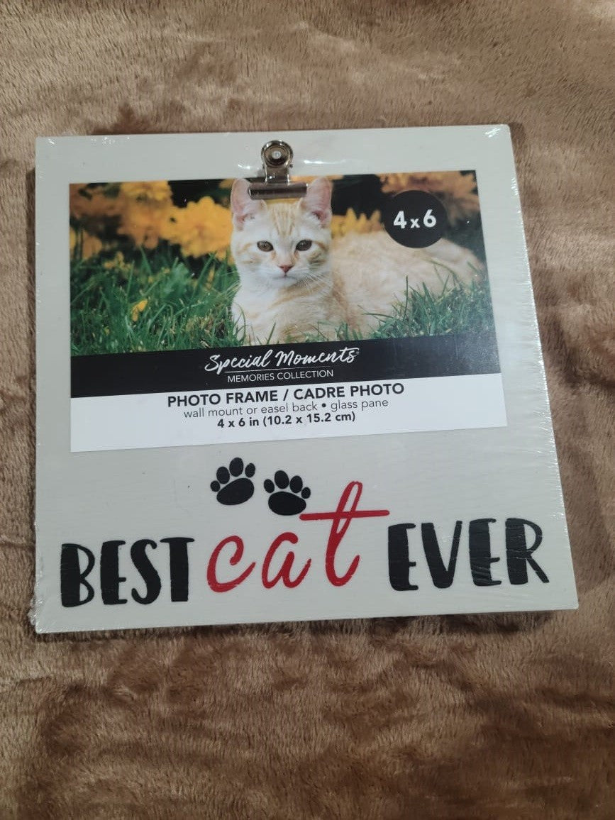 Cat Picture Frame