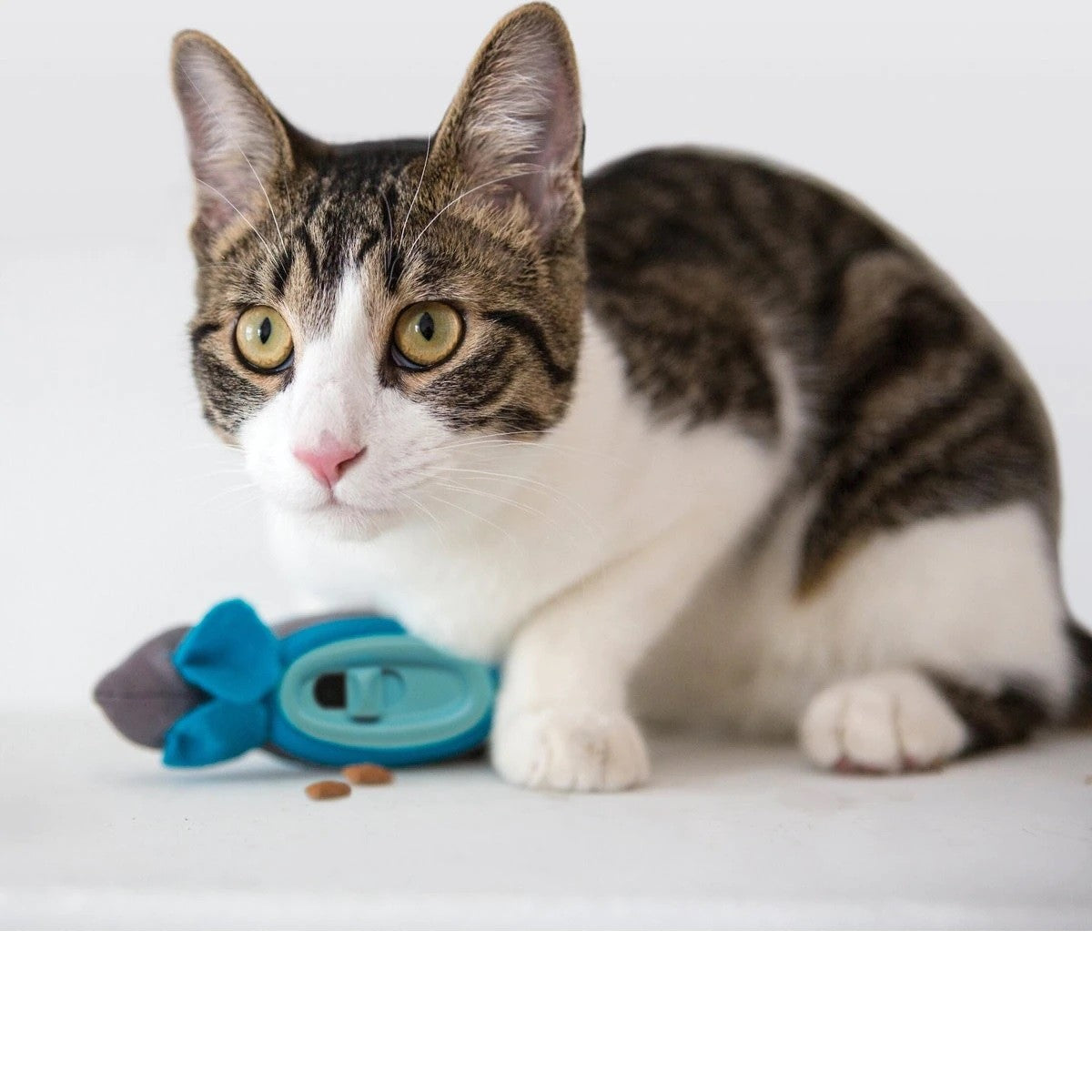 Hunting Snacker Interactive Cat Treat Toy Blue