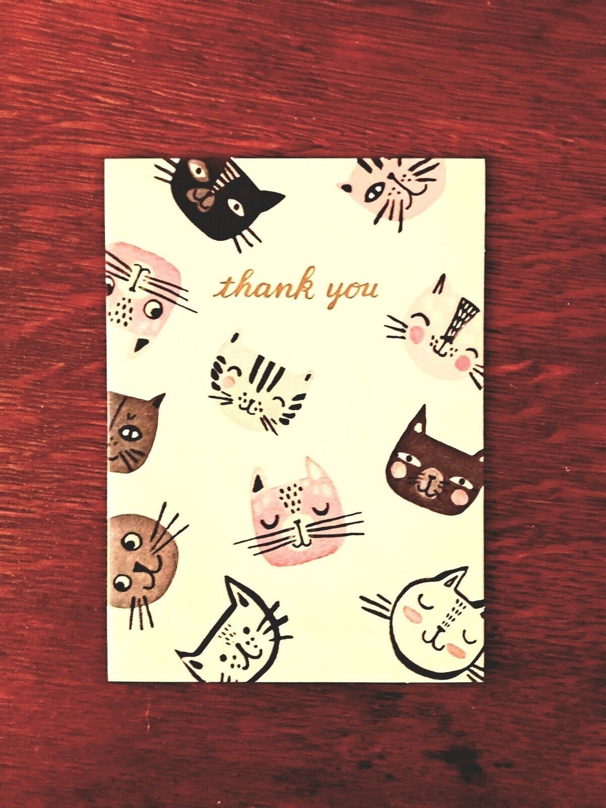 Kitty Thank You Cards