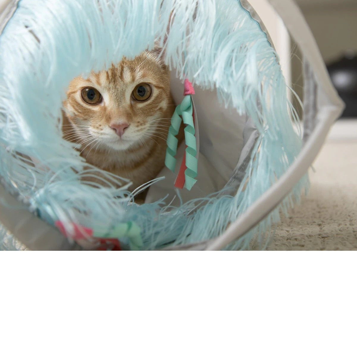 SmartyKat Fringe Frenzy Cat Activity Tunnel