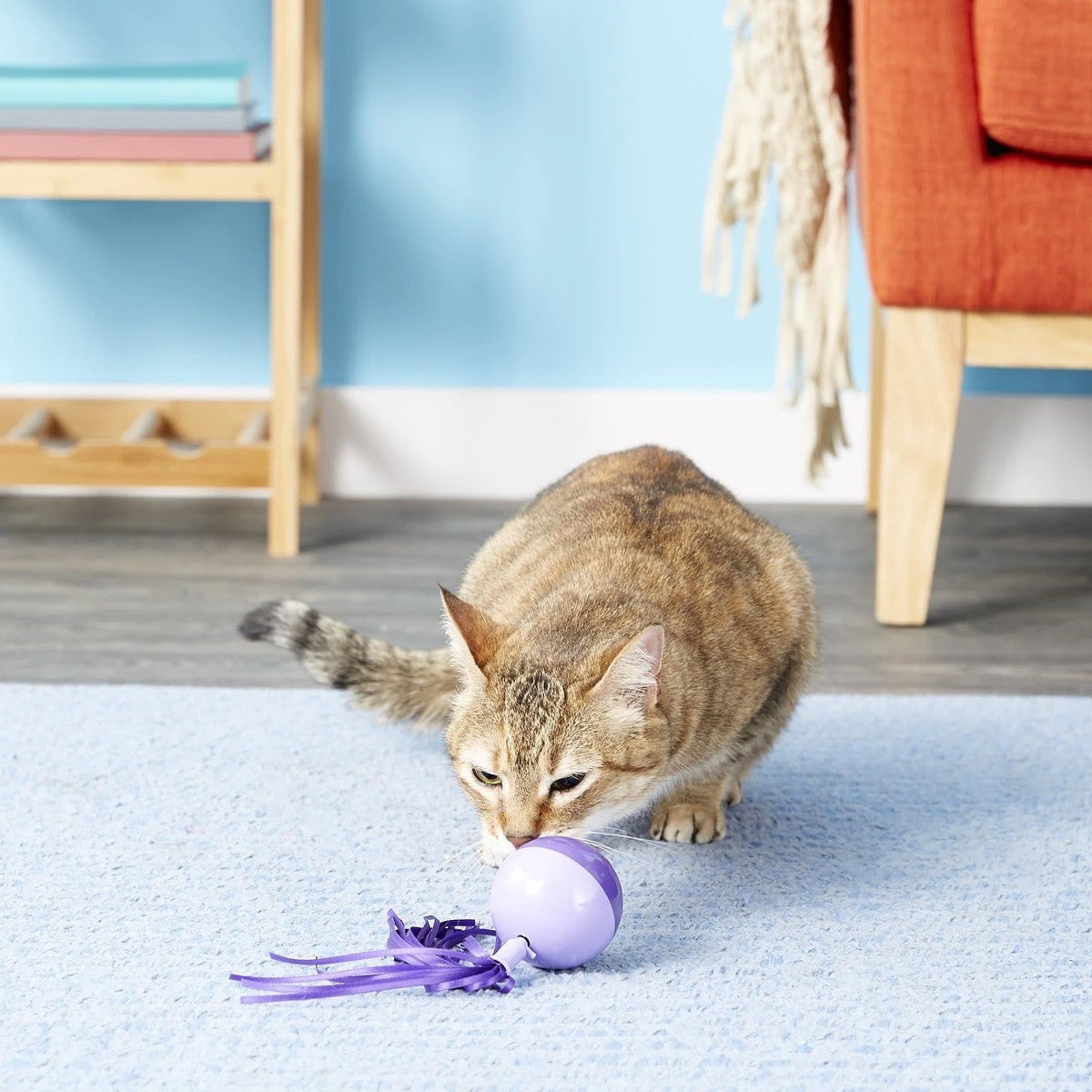SmartyKat Twirly Top Electronic Mini Motion Ball Cat Toy