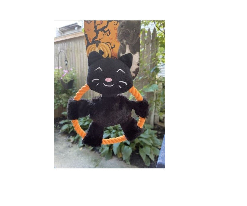 Elite Pet Halloween - Black Cat