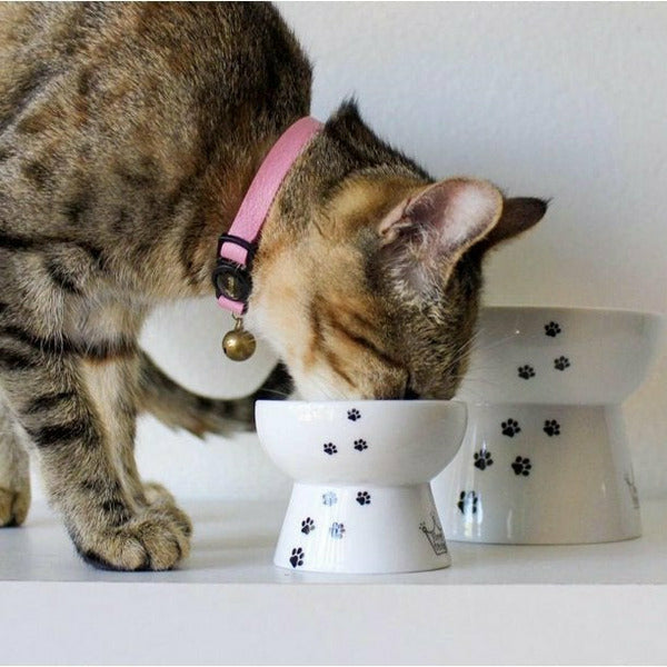 Raised Cat Mini Treats Bowl (Cat,Dog)
