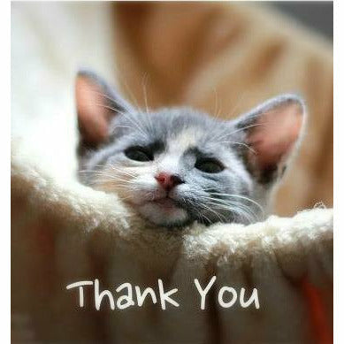 Donation To Feline Support Network