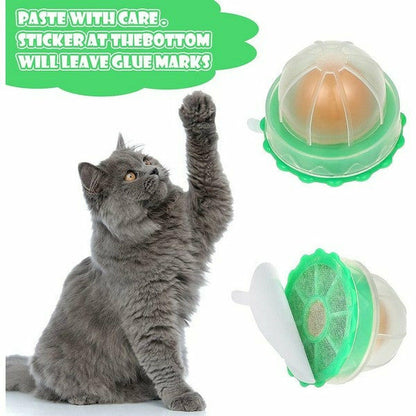 Catnip Candy Ball